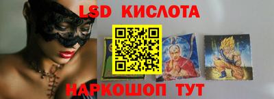прущие грибы Будённовск