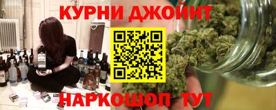 прущие грибы Будённовск