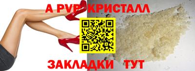 прущие грибы Будённовск