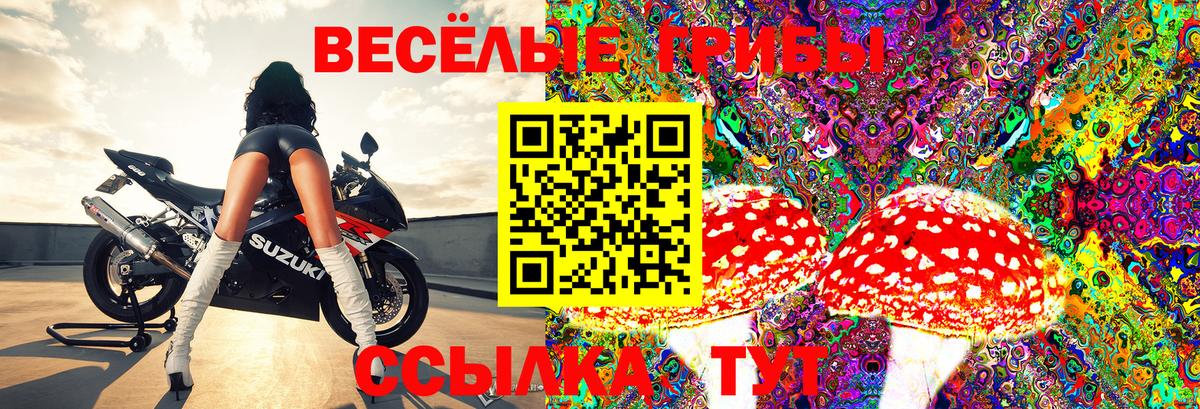 Галлюциногенные грибы ЛСД Тайшет