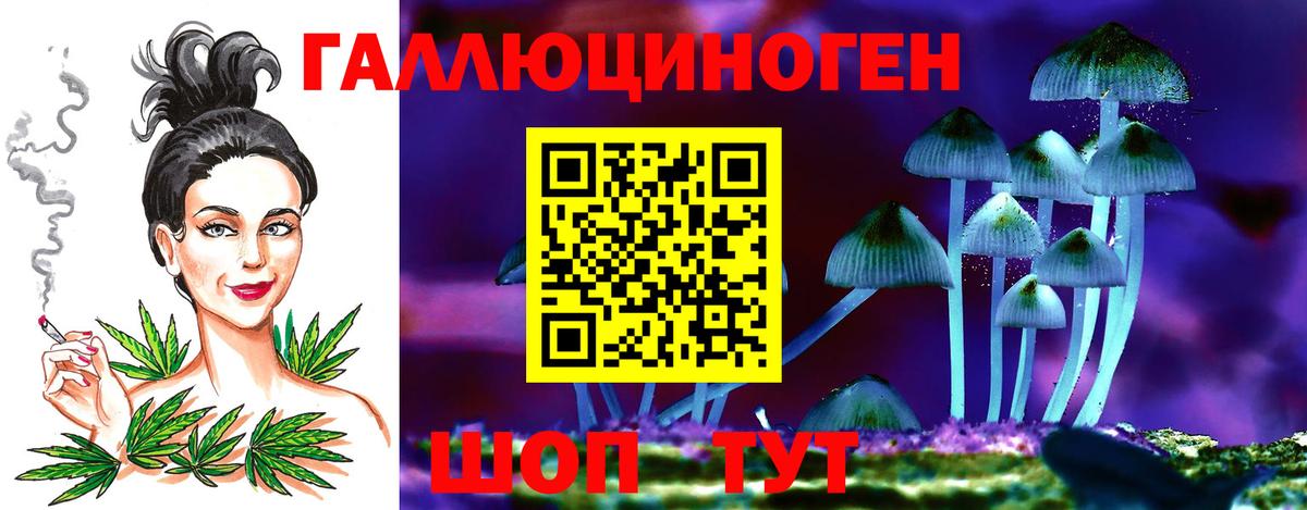 Тайшет  Галлюциногенные грибы прущие грибы  Вход с VPN 